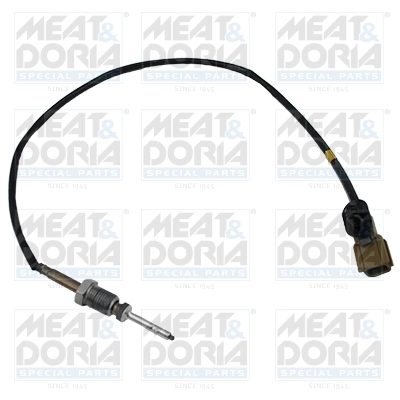 Sensor, exhaust gas temperature